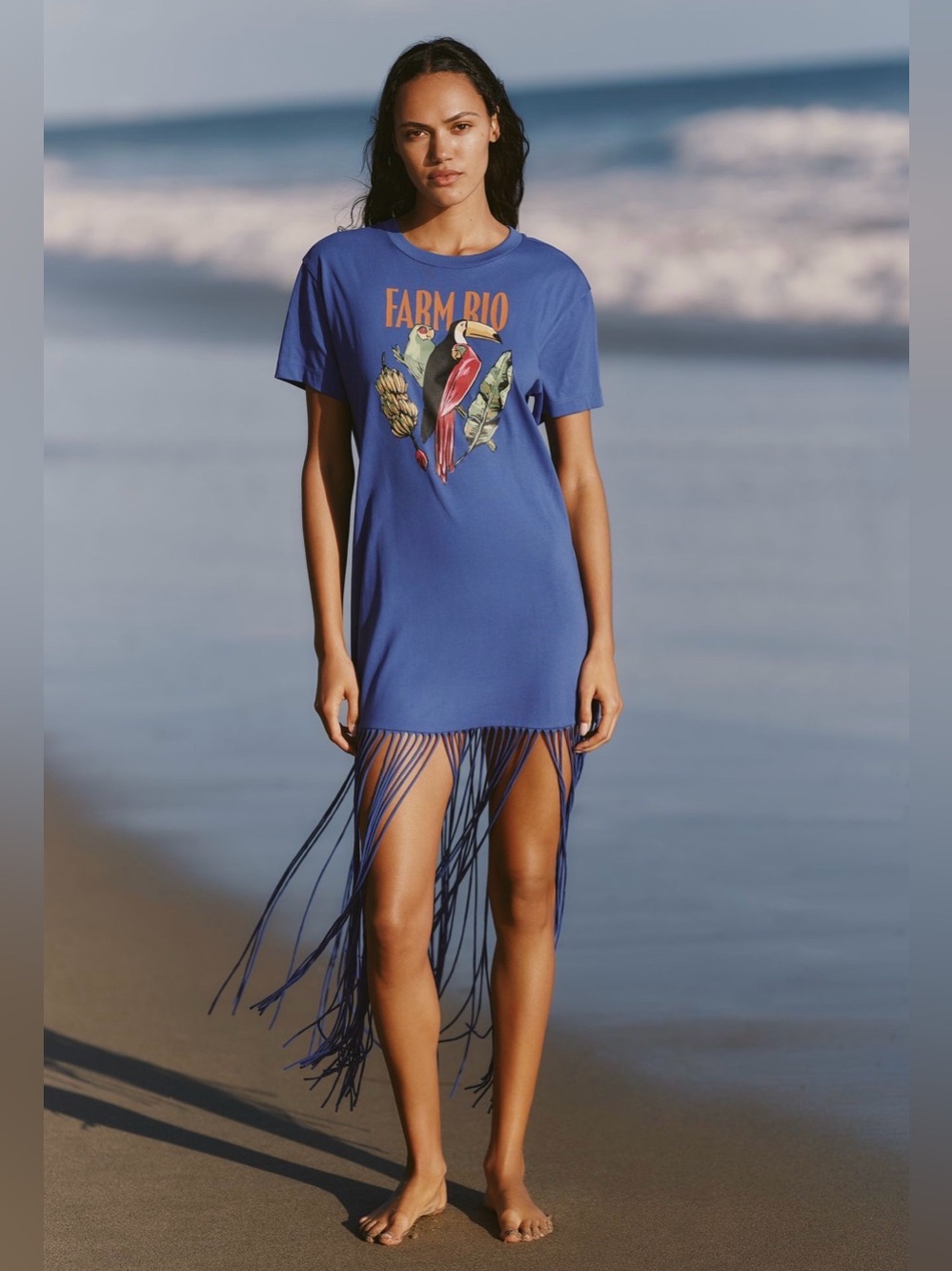 Farm Rio Blue Graphic Fringe Dress NWT